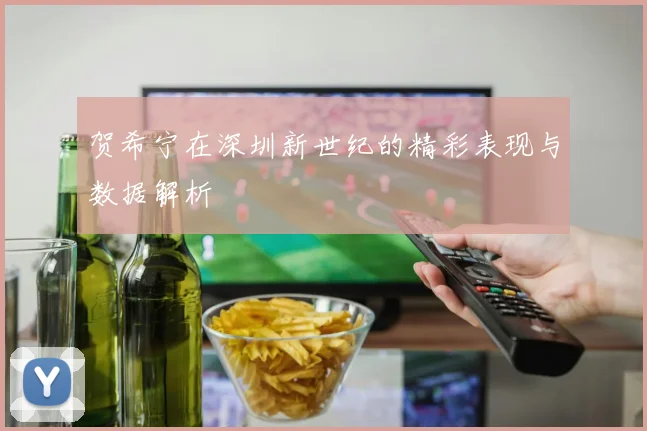 贺希宁在深圳新世纪的精彩表现与数据解析